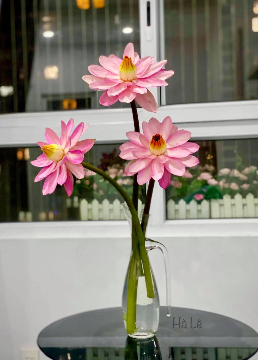 Tử vi hàng ngày - Thứ Tư 23/11/2022 của 12 cung hoàng đạo